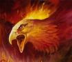 phoenix feathers's Avatar